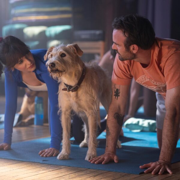 Is Merv a True Story? Is He Based on a Real Dog?